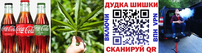 гидра ссылки  купить  цена  Сосновый Бор  Cannafood конопля 