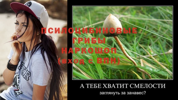 дживик Армянск
