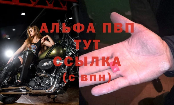 дживик Аркадак