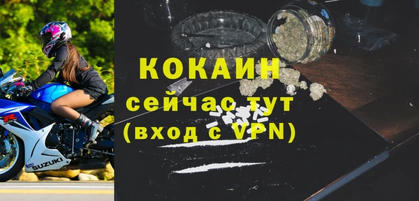 дживик Аркадак