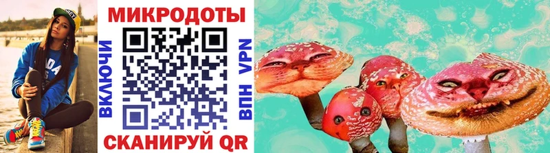 дарк нет наркотические препараты  Сосновый Бор  Псилоцибиновые грибы GOLDEN TEACHER  где купить  