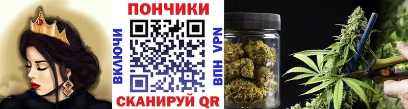Бошки Шишки THC 21%  Сосновый Бор 